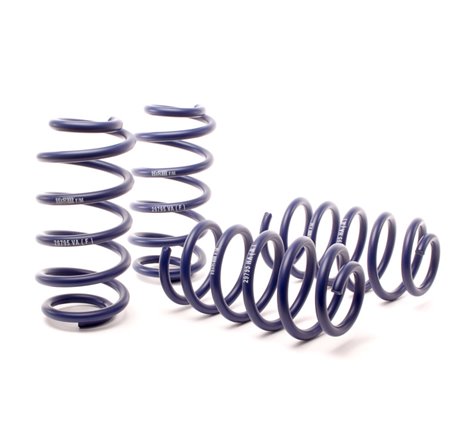 H&R 01-05 Volkswagen Passat 4Motion Sedan/Wagon Sport Spring (Non W8)