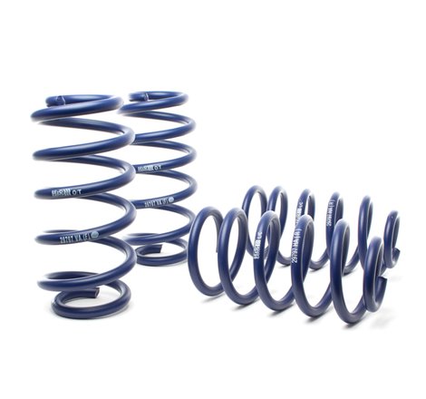 H&R 02-03 Audi S6 (AWD) Sport Spring