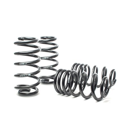 H&R 02-03 Audi S6 Avant (AWD) Sport Spring