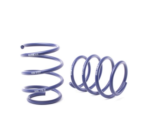 H&R 04-07 BMW 525i/530i E60 Sport Spring (w/Self Leveling)