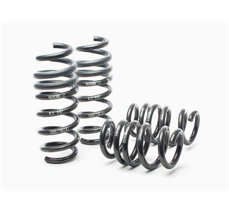 H&R 08-15 Audi R8/R8 Cabrio V8/V10 Sport Spring