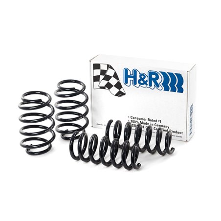 H&R 09-19 Ford Flex (2WD/AWD) Sport Spring