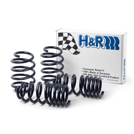 H&R 10-19 Ford Taurus SHO (AWD) V6 Turbo Sport Spring