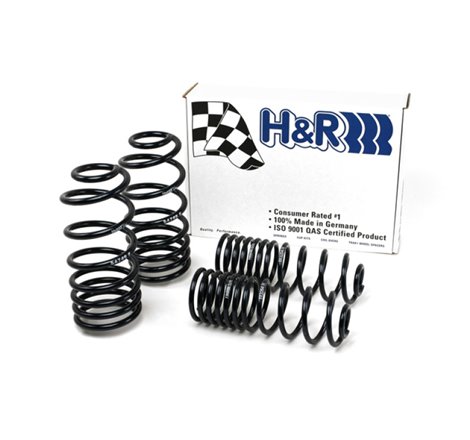 H&R 93-94 Volkswagen Passat Sedan VR6 Sport Spring