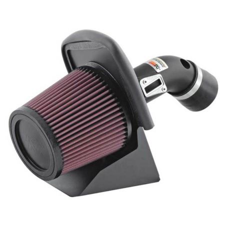 K&N 07-09 Ford Focus L4-2.0L Typhoon Short Ram Intake