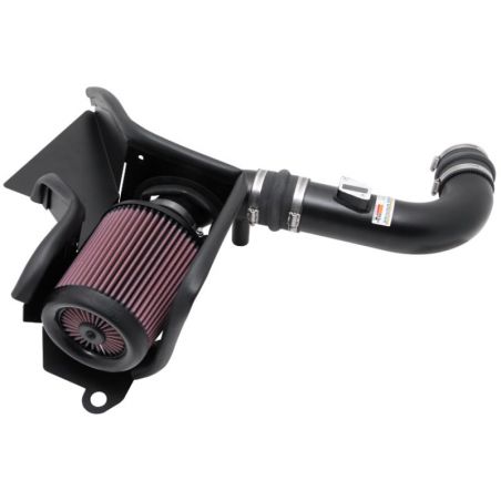 K&N 09-10 VW Passat/GLI/GTI 2.0L-L4 Typhoon Short Ram Intake