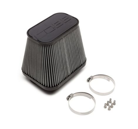 Cobb 17-20 Ford F-150 Raptor High Flow Replacement Dry Media Air Filter