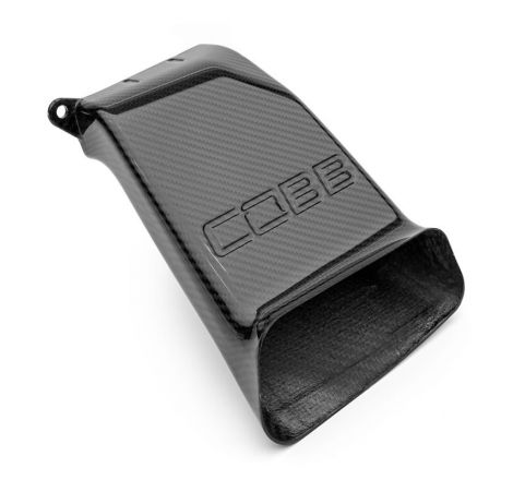 Cobb Ford 16-18 Focus RS / 13-18 Focus ST Redline Carbon Fiber Air Scoop