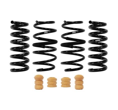 Eibach Pro-Kit for 21-23...