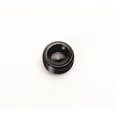 Russell Performance 3/8in Allen Socket Pipe Plug (Black)