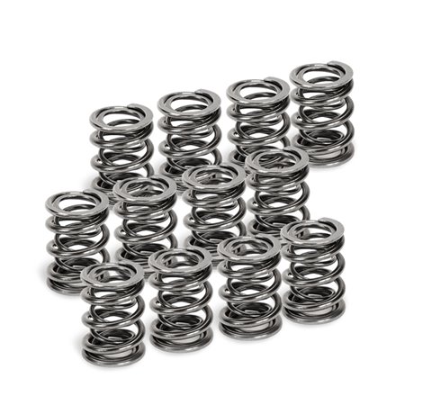 Supertech VW VR6 Dual Valve Spring - Set of 12