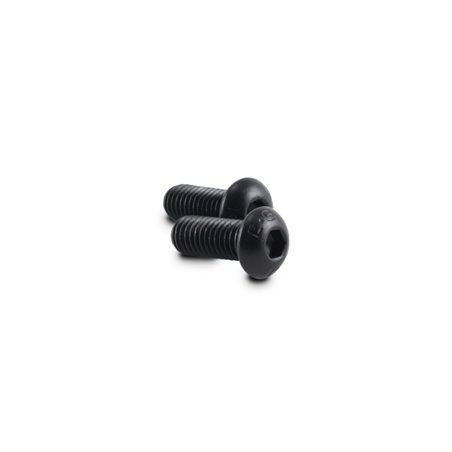 Vibrant M8 x 1.25 x 20mm Screws for Oil Flanges (Pack of 2)