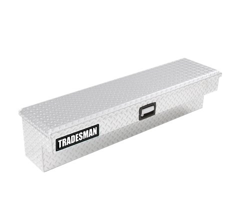 Tradesman Aluminum Side Bin Truck Tool Box (48in.) - Brite