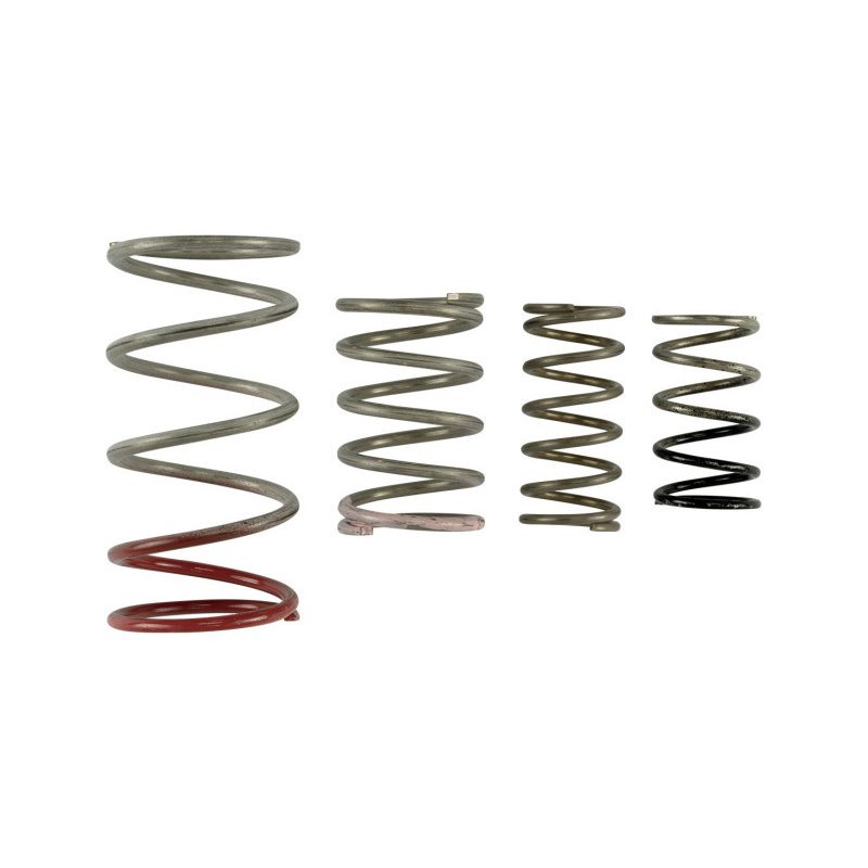 Turbosmart Gen V IWG Spring Replacement Kit