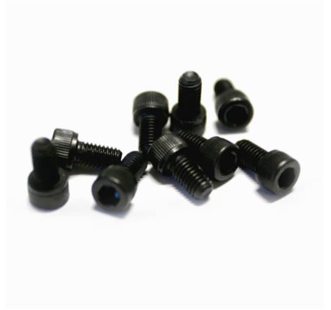 Big Gun 1/4x20 End Tip Allen Screws (4 pk) - Socket Head (Black)