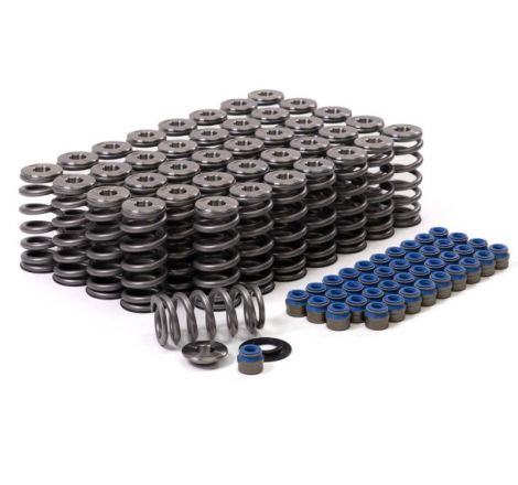 GSC P-D Audi R8 V10 / Lamborghini Huracan V10 5.2L Valve Spring & Ti Retainer Kit (w/Seats & Seals)