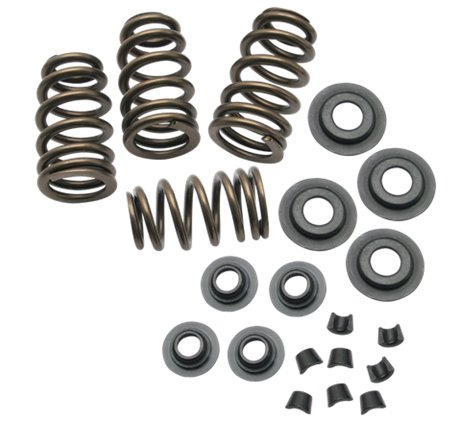 S&S Cycle 84-04 BT/86-03 Sportster Models .650in Lift Sidewinder Valve Spring Kit