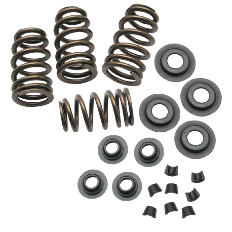 S&S Cycle 84-04 BT/86-03 Sportster Models .650in Lift Sidewinder Valve Spring Kit