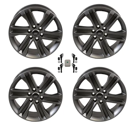 Ford Racing 15-22 F-150 20x8.5 Dark Alloy Wheel Kit