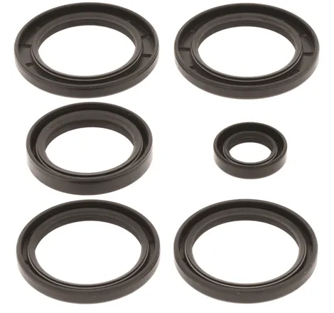 QuadBoss 04-09 Kawasaki KFX700 V-Force Rear Differential Seal Kit