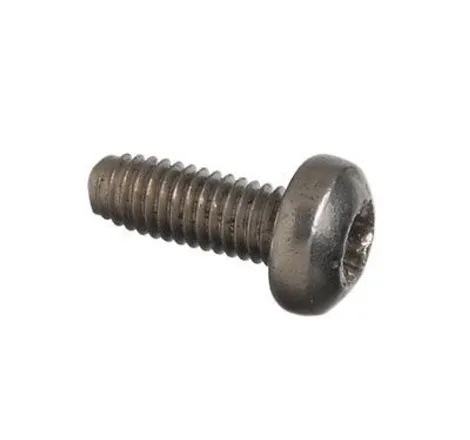 Schrader Replacement T-10 Screws - 25 Pack