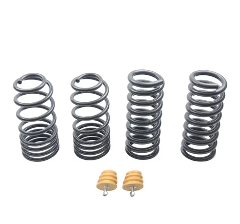 ST Sport-tech Lowering Springs Ford Mustang 3rd gen. / 4th gen.