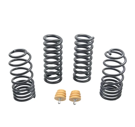 ST Sport-tech Lowering Springs Ford Mustang 3rd gen. / 4th gen.