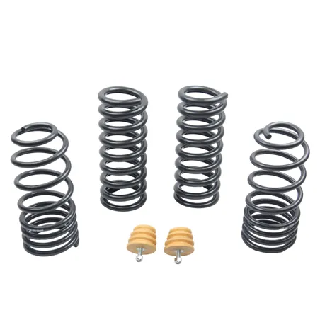 ST Sport-tech Lowering Springs Ford Mustang 3rd gen. / 4th gen.