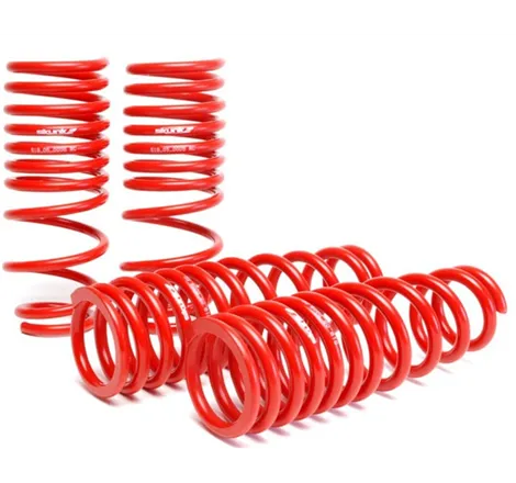 Skunk2 94-01 Acura Integra Lowering Springs (2.50in - 2.25in.) (Set of 4)