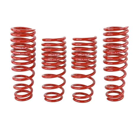 Skunk2 94-01 Acura Integra Lowering Springs (2.50in - 2.25in.) (Set of 4)