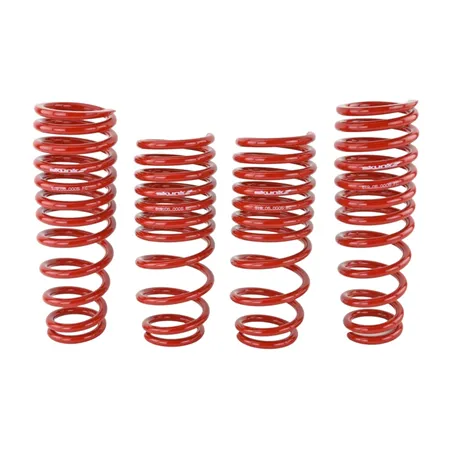 Skunk2 94-01 Acura Integra Lowering Springs (2.50in - 2.25in.) (Set of 4)