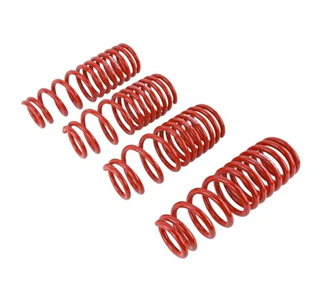 Skunk2 94-01 Acura Integra Lowering Springs (2.50in - 2.25in.) (Set of 4)