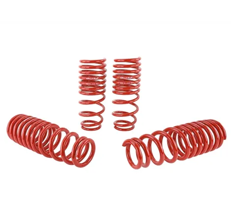 Skunk2 94-01 Acura Integra Lowering Springs (2.50in - 2.25in.) (Set of 4)