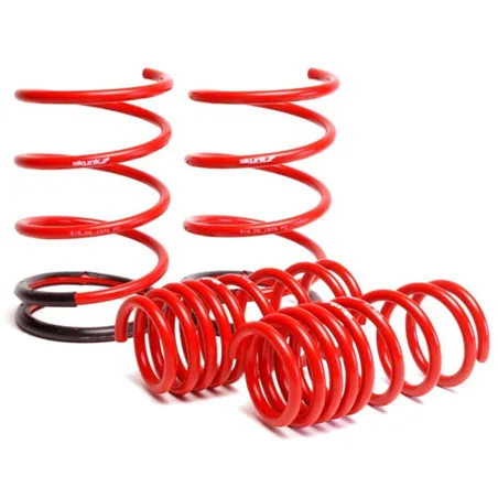 Skunk2 01-05 Honda Civic Lowering Springs (2.25in - 2.00in.) (Set of 4)