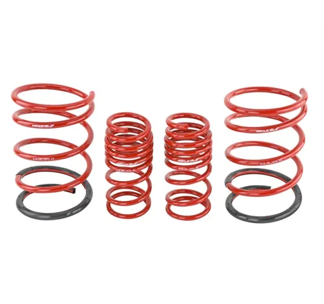 Skunk2 01-05 Honda Civic Lowering Springs (2.25in - 2.00in.) (Set of 4)