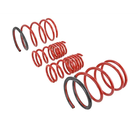 Skunk2 01-05 Honda Civic Lowering Springs (2.25in - 2.00in.) (Set of 4)