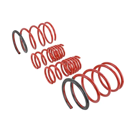 Skunk2 01-05 Honda Civic Lowering Springs (2.25in - 2.00in.) (Set of 4)