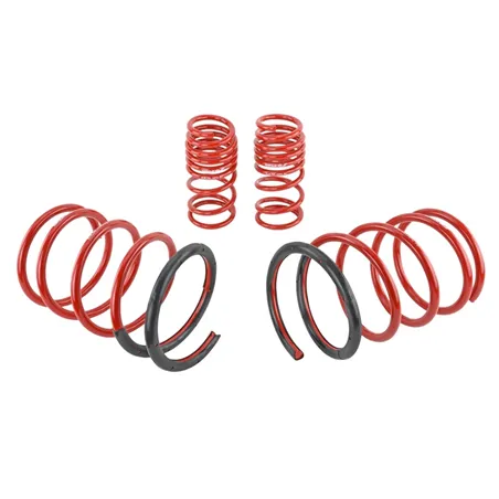 Skunk2 01-05 Honda Civic Lowering Springs (2.25in - 2.00in.) (Set of 4)