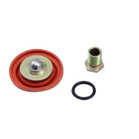 AEM Universal Fuel Pressure Regulator Rebuild Kit