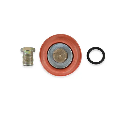 AEM Universal Fuel Pressure Regulator Rebuild Kit