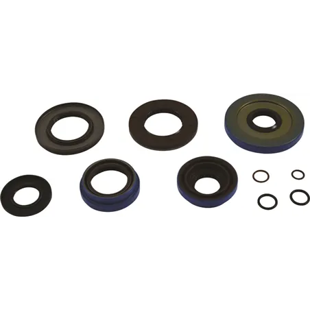 All Balls Racing 2015 Polaris Hawkeye 325 2x4 Transaxle Seal Kit