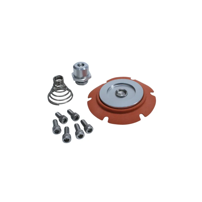 Aeromotive Carbureted Regulator Repair Kit 13222