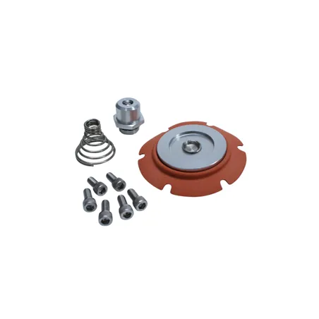 Aeromotive Carbureted Regulator Repair Kit 13222