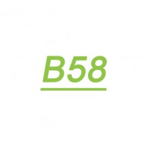 B58