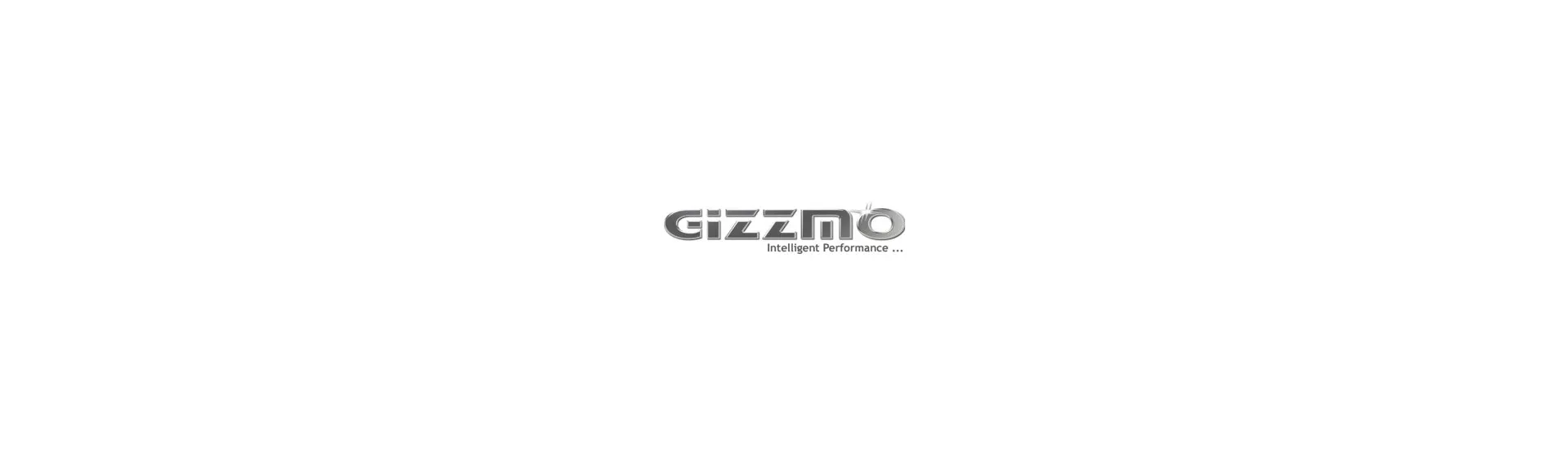 Gizzmo