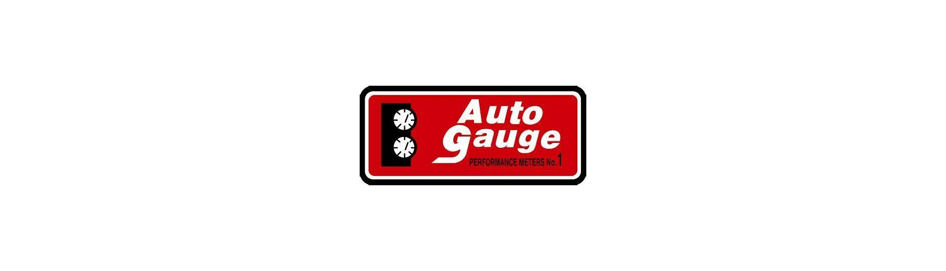 AutoGauge